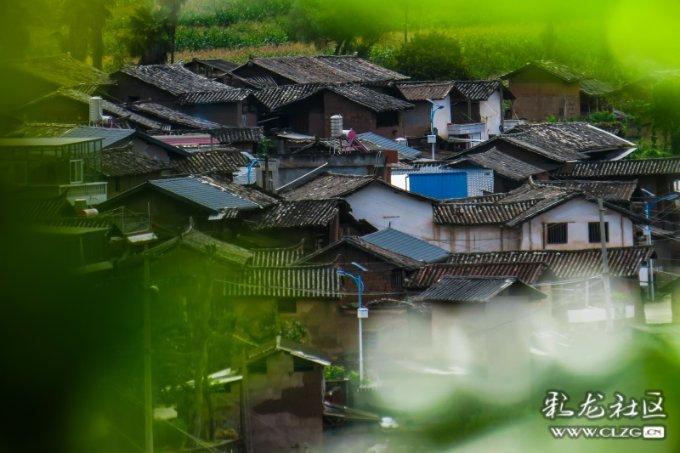 元旦是不是指春节？