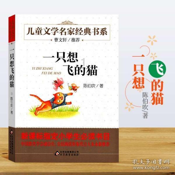 逃离洁白的宾馆