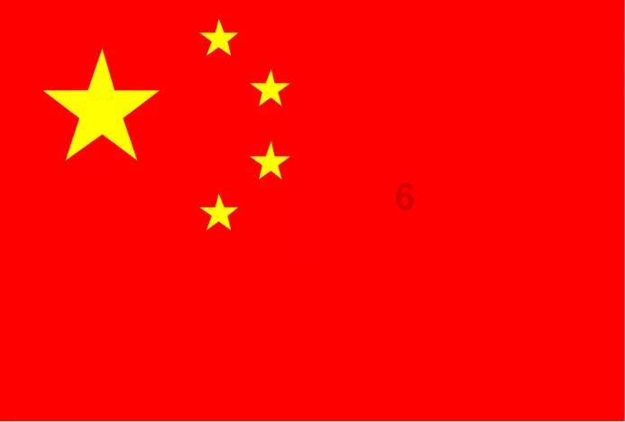 飞扬的独眼鸟