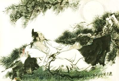 海拔2117米！神奇古树现身黄柏塬国家级自然保护区