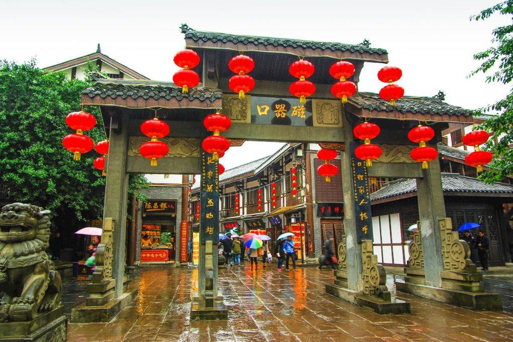 动物帮帮忙保卫家园